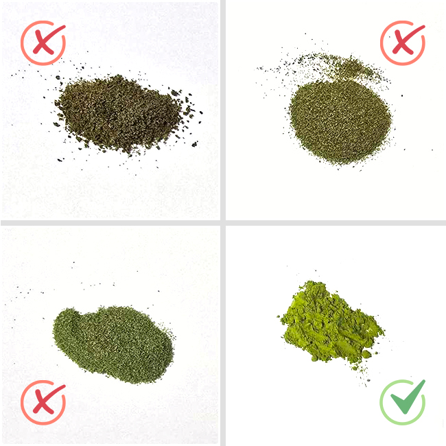 Dried Wolffia globosa Comparation